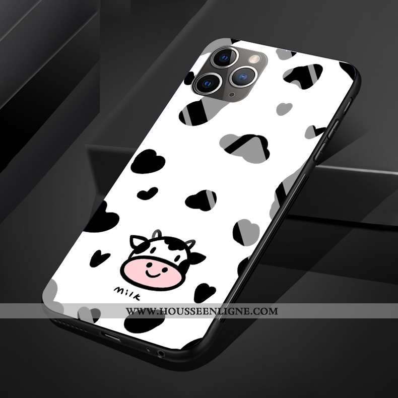 Housse iPhone 11 Pro Max Original Silicone Coque Verre Charmant Noir Téléphone Portable