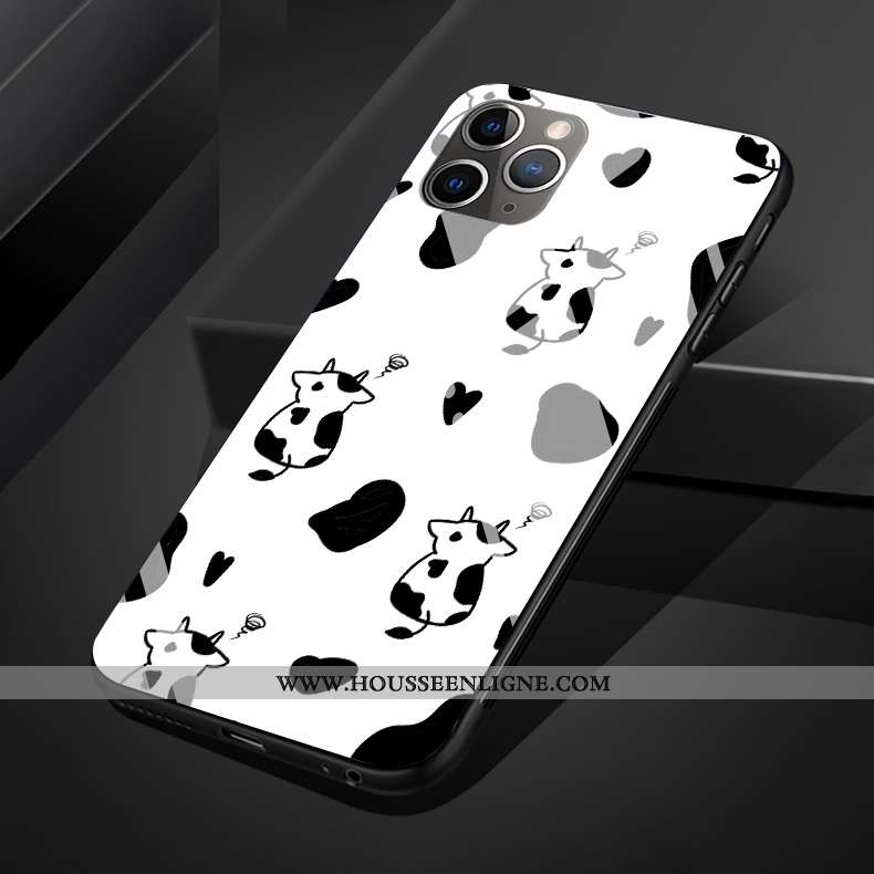Housse iPhone 11 Pro Max Original Silicone Coque Verre Charmant Noir Téléphone Portable