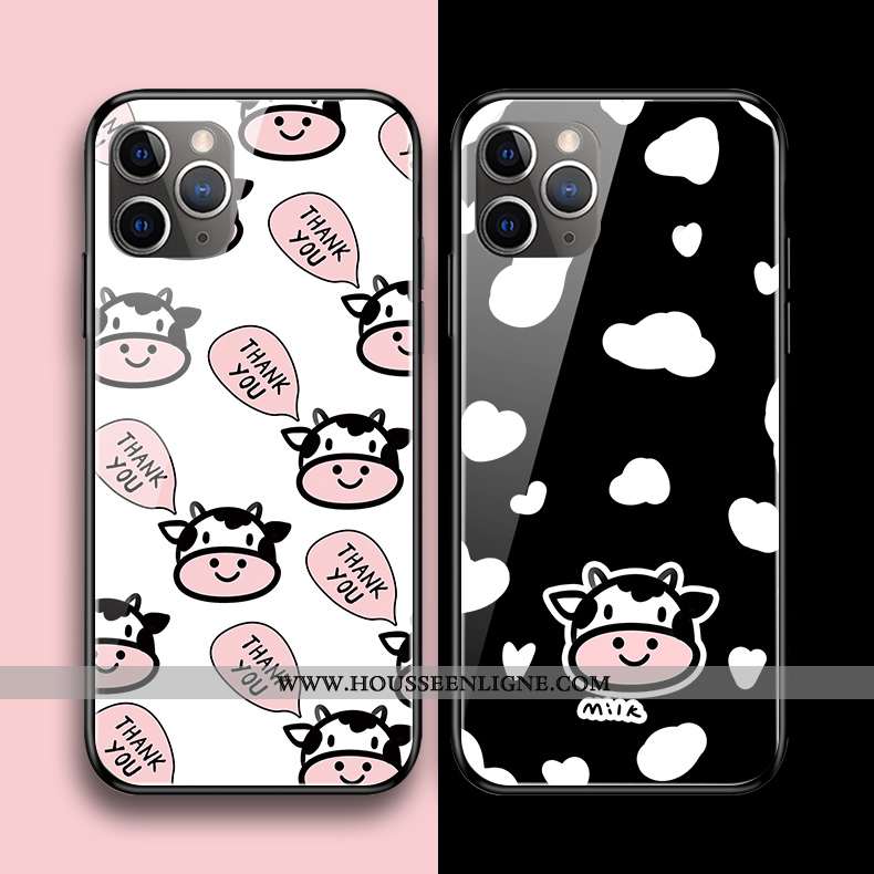 Housse iPhone 11 Pro Max Original Silicone Coque Verre Charmant Noir Téléphone Portable