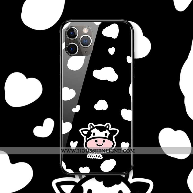 Housse iPhone 11 Pro Max Original Silicone Coque Verre Charmant Noir Téléphone Portable