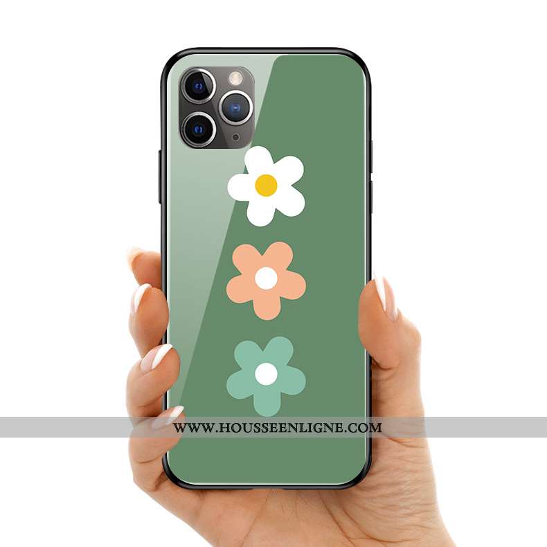 Housse iPhone 11 Pro Max Verre Silicone Coque Protection Vert Simple Vent Verte