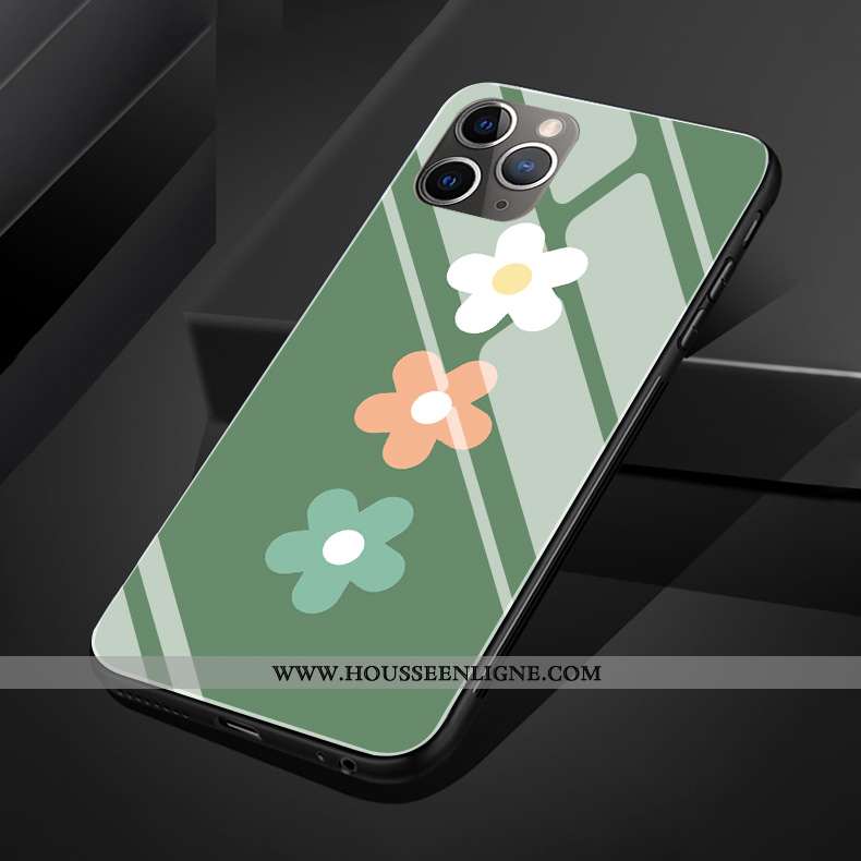 Housse iPhone 11 Pro Max Verre Silicone Coque Protection Vert Simple Vent Verte