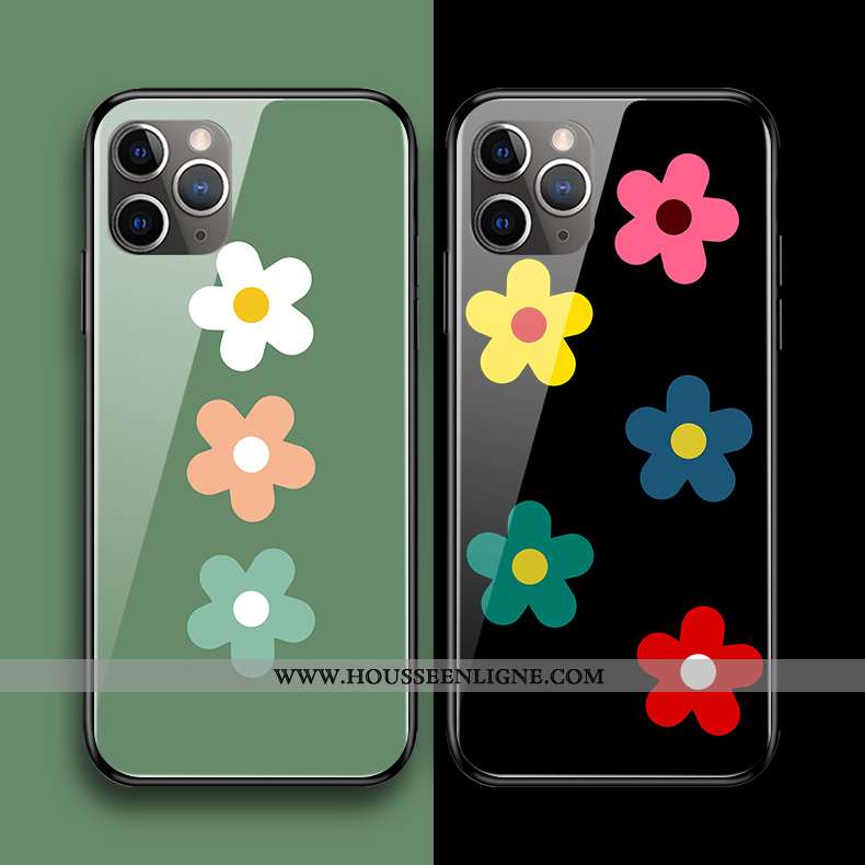 Housse iPhone 11 Pro Max Verre Silicone Coque Protection Vert Simple Vent Verte