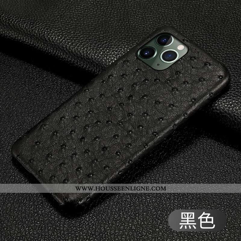 Housse iPhone 11 Pro Protection Luxe Cuir Incassable Téléphone Portable Coque Oiseau Noir