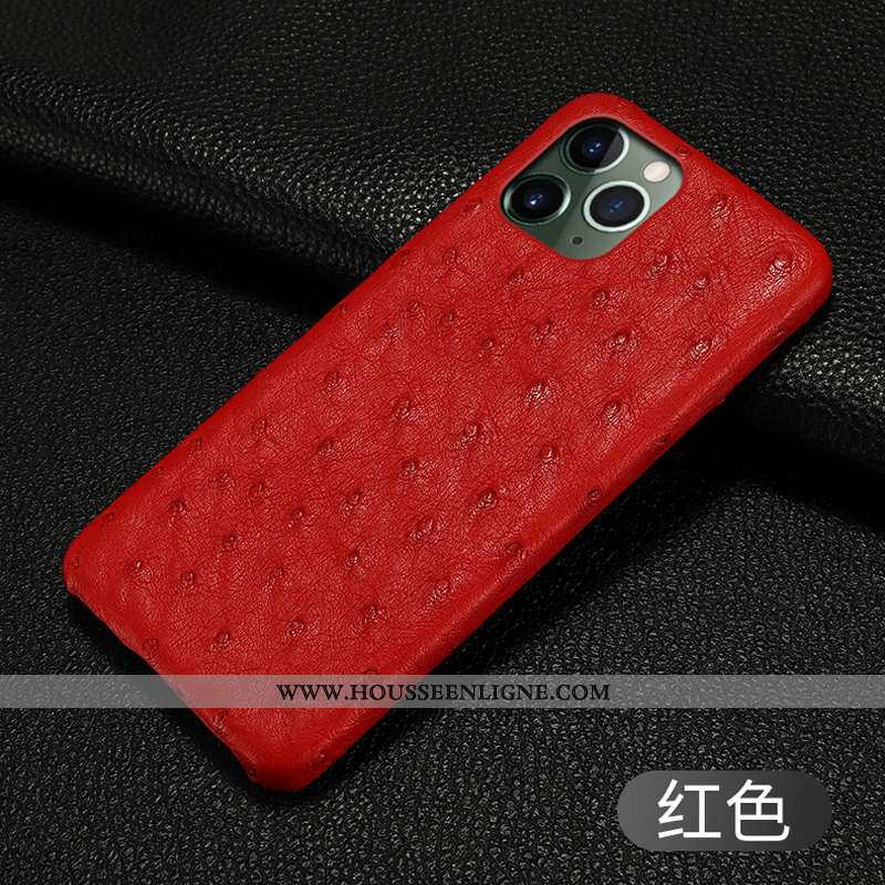 Housse iPhone 11 Pro Protection Luxe Cuir Incassable Téléphone Portable Coque Oiseau Noir
