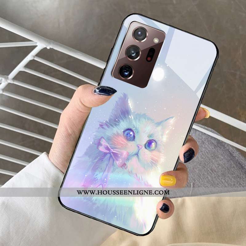 Étui Samsung Galaxy Note20 Ultra Protection Verre Bleu Coque Tout Compris Petit Dessin Animé