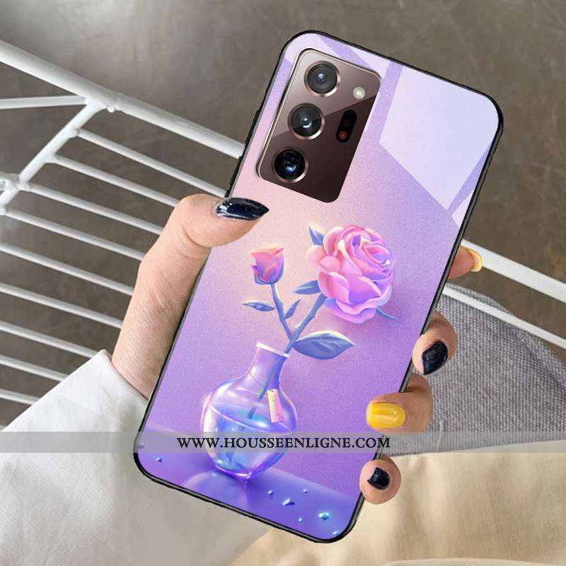 Étui Samsung Galaxy Note20 Ultra Protection Verre Bleu Coque Tout Compris Petit Dessin Animé