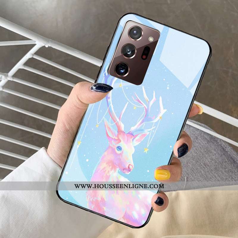 Étui Samsung Galaxy Note20 Ultra Protection Verre Bleu Coque Tout Compris Petit Dessin Animé