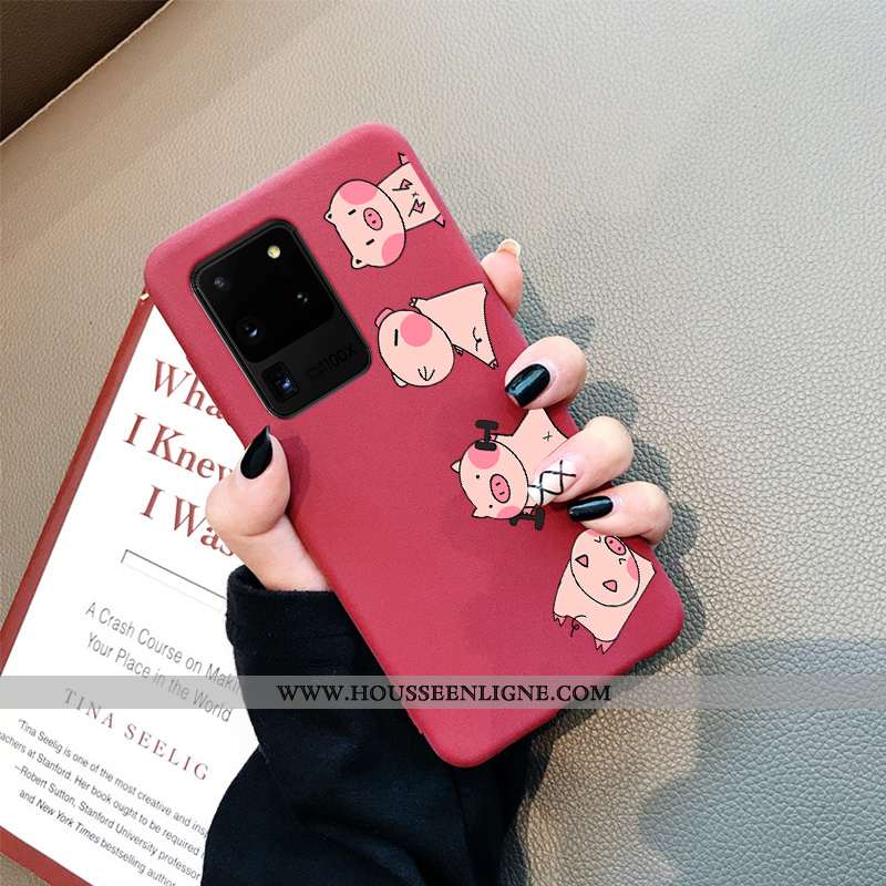 Étui Samsung Galaxy S20 Ultra Charmant Tendance Tout Compris Légères Protection Incassable Coque Gri
