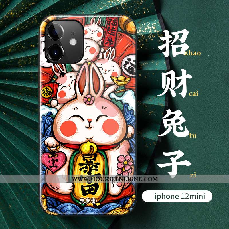 Coque iPhone 12 Mini Silicone Verre Incassable Téléphone Portable Vert Personnalité Verte