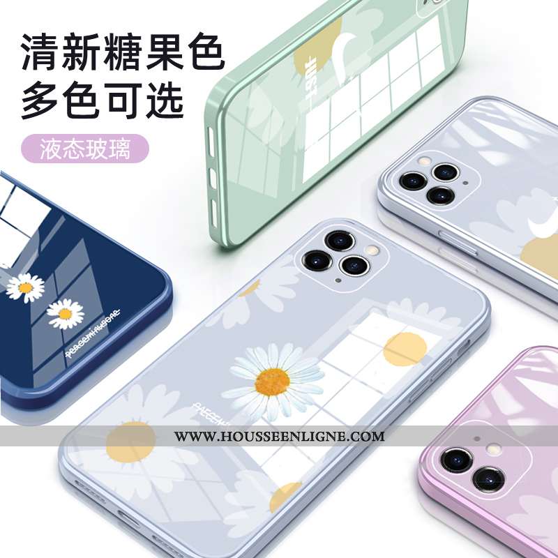 Coque iPhone 12 Pro Max Légère Protection Amoureux Tout Compris Ultra Téléphone Portable Bleu