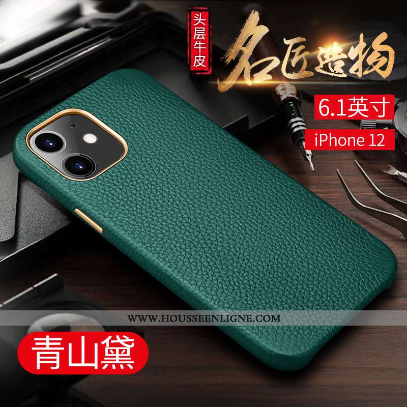 Coque iPhone 12 Tendance Protection Luxe Luxe Créatif Téléphone Portable Business Verte