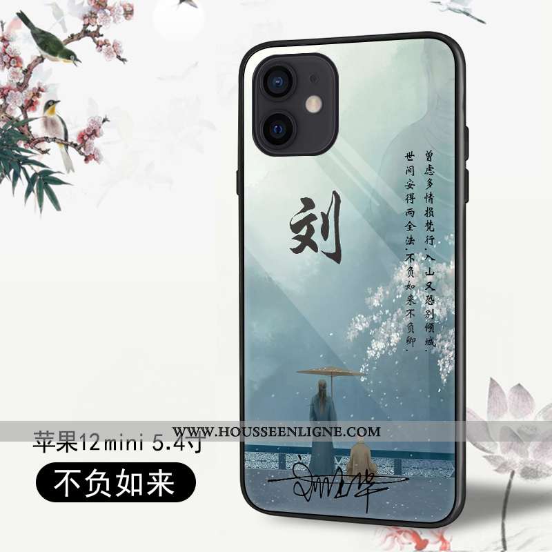 Housse iPhone 12 Mini Protection Personnalité Coque Tendance Tout Compris Téléphone Portable Légères