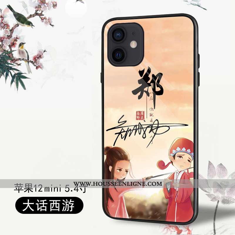 Housse iPhone 12 Mini Protection Personnalité Coque Tendance Tout Compris Téléphone Portable Légères