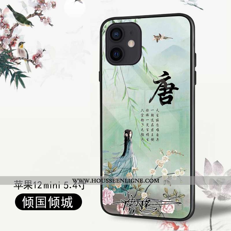 Housse iPhone 12 Mini Protection Personnalité Coque Tendance Tout Compris Téléphone Portable Légères