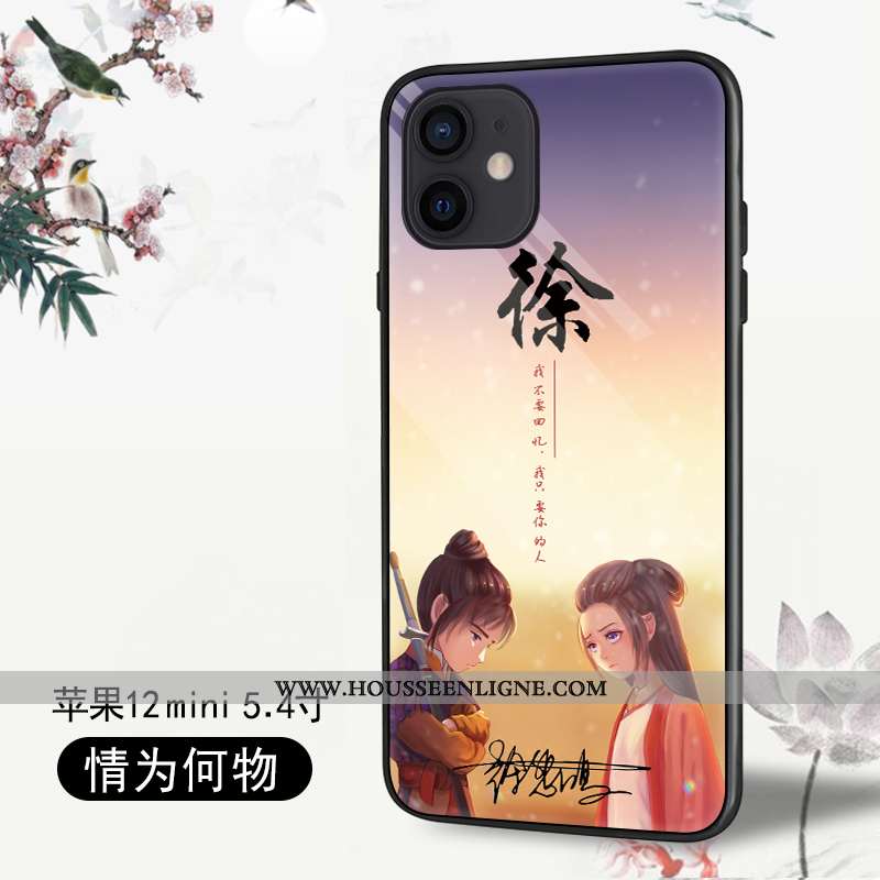 Housse iPhone 12 Mini Protection Personnalité Coque Tendance Tout Compris Téléphone Portable Légères