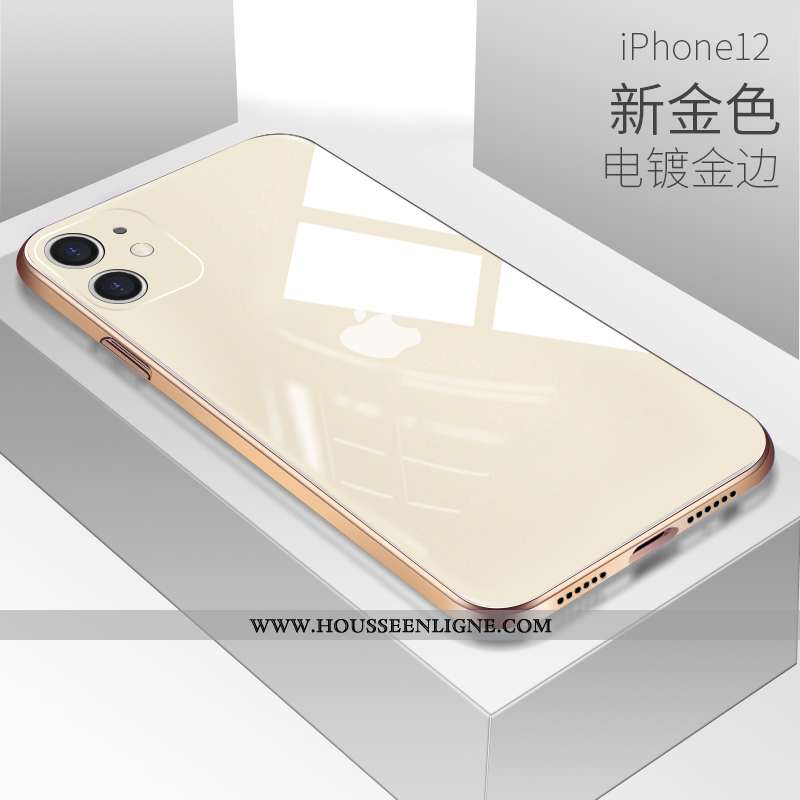 Housse iPhone 12 Protection Verre Coque Tout Compris Téléphone Portable Amoureux Incassable Blanche