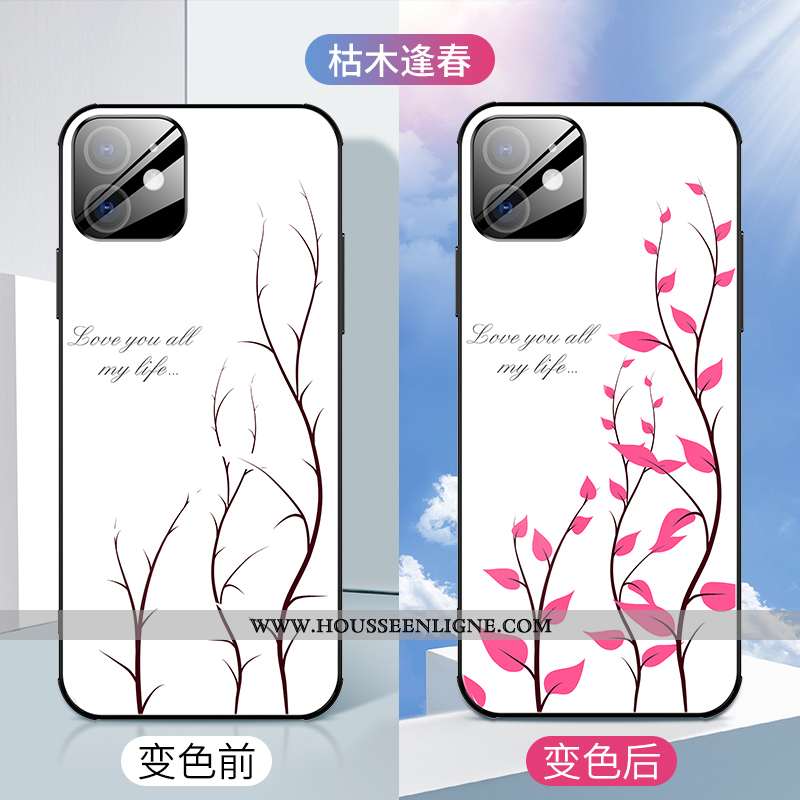Étui iPhone 12 Mini Verre Personnalité Luxe Incassable Créatif Légère Coque Blanche