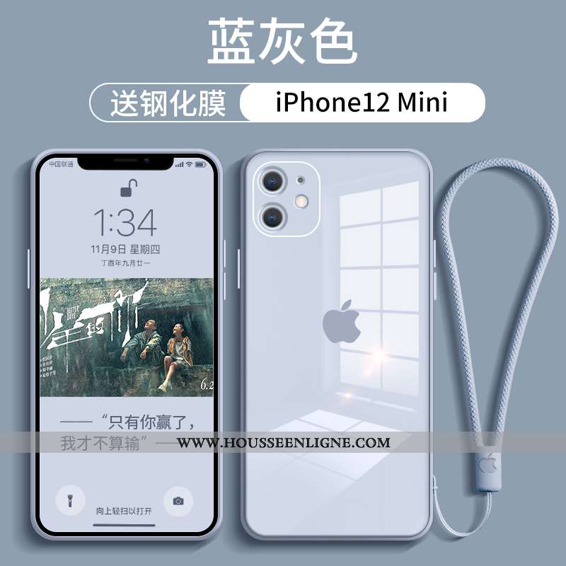 Étui iPhone 12 Mini Verre Tendance Téléphone Portable Tout Compris Net Rouge Rose Incassable
