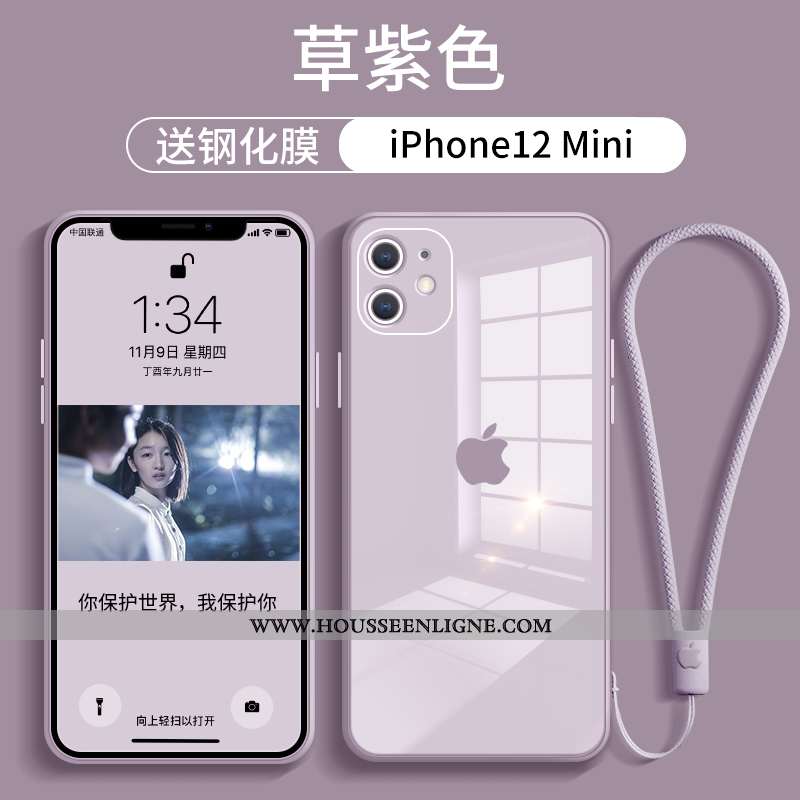 Étui iPhone 12 Mini Verre Tendance Téléphone Portable Tout Compris Net Rouge Rose Incassable