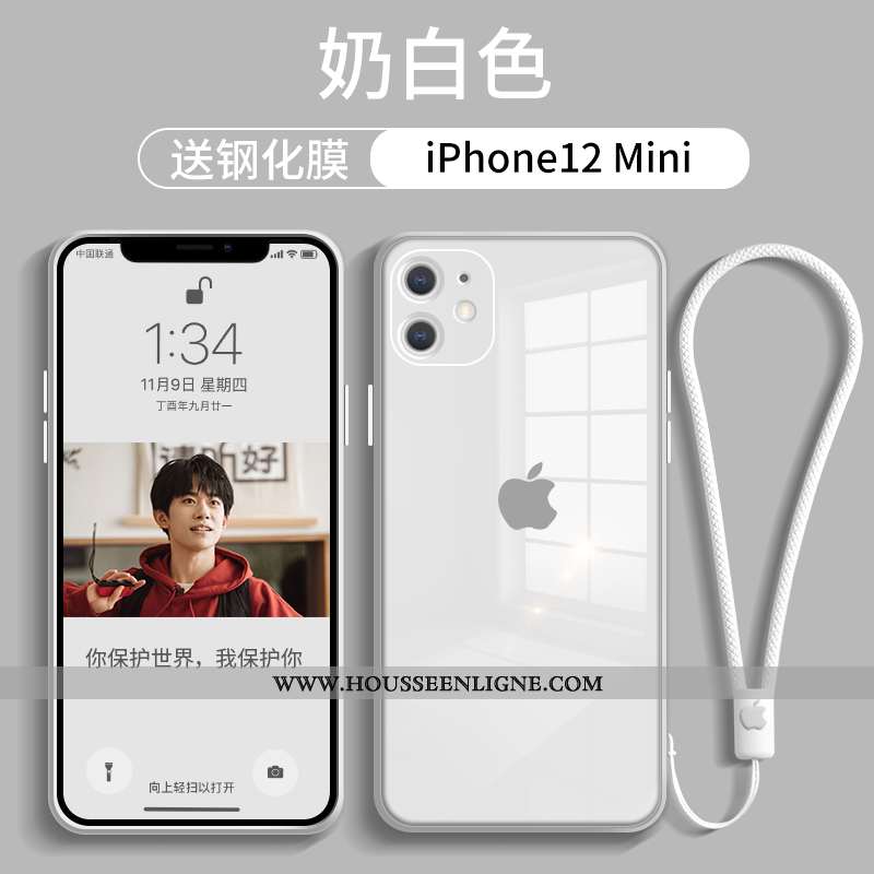 Étui iPhone 12 Mini Verre Tendance Téléphone Portable Tout Compris Net Rouge Rose Incassable