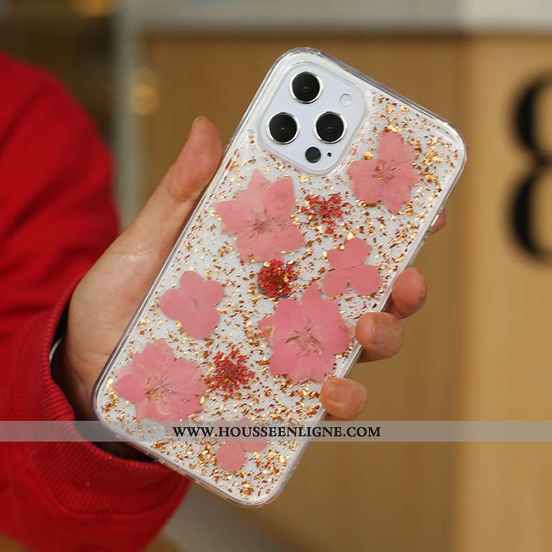Étui iPhone 12 Pro Max Tendance Silicone Quicksand Argent Incassable Mini Créatif