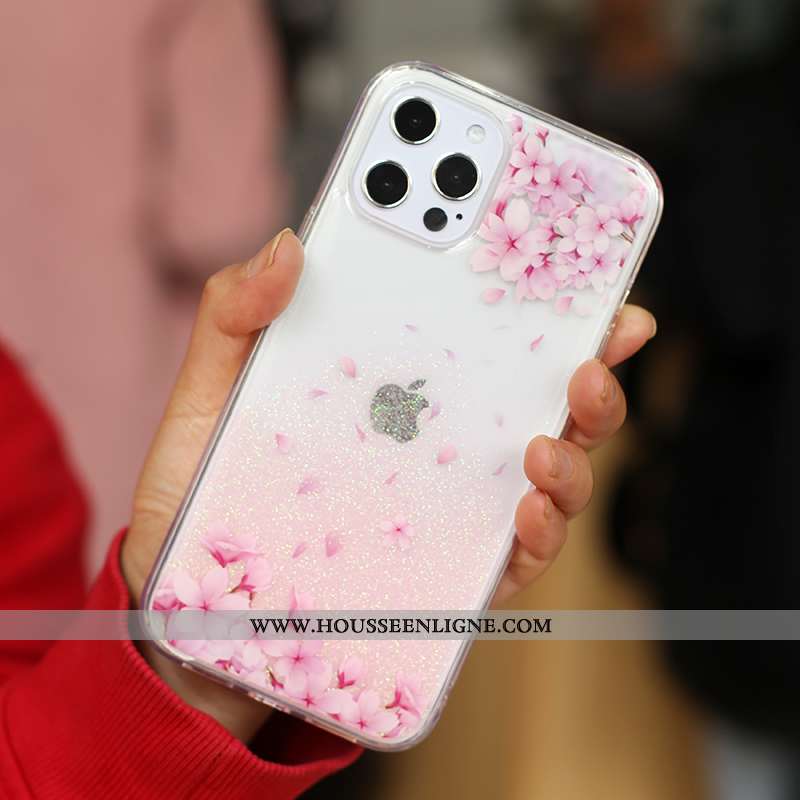 Étui iPhone 12 Pro Max Tendance Silicone Quicksand Argent Incassable Mini Créatif