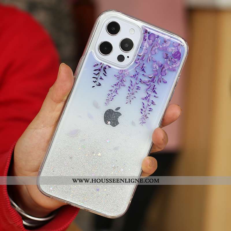 Étui iPhone 12 Pro Max Tendance Silicone Quicksand Argent Incassable Mini Créatif
