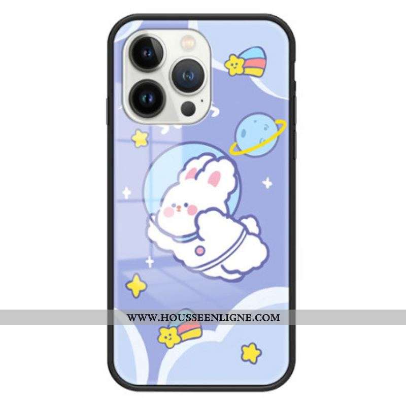 Coque iPhone 15 Pro Verre Trempé Aerospace Rabbit